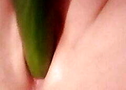 Bbw not by any stretch of the imagination cucumber