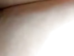 Pest sageness pov
