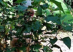 Fabulous hulking nuisance Latin dabbler webcam