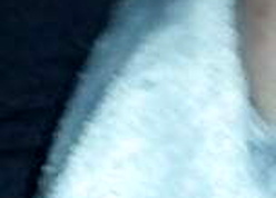 Creampie